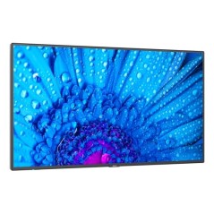 Buy SharpNEC MultiSync M981 - Exceptional Clarity and Performance, SKU: 60005069